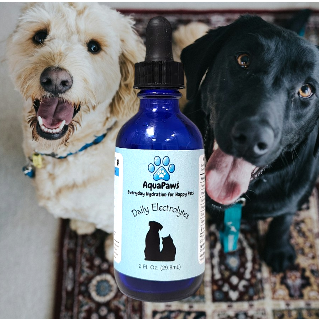 Pet Electrolytes for Daily Hydration