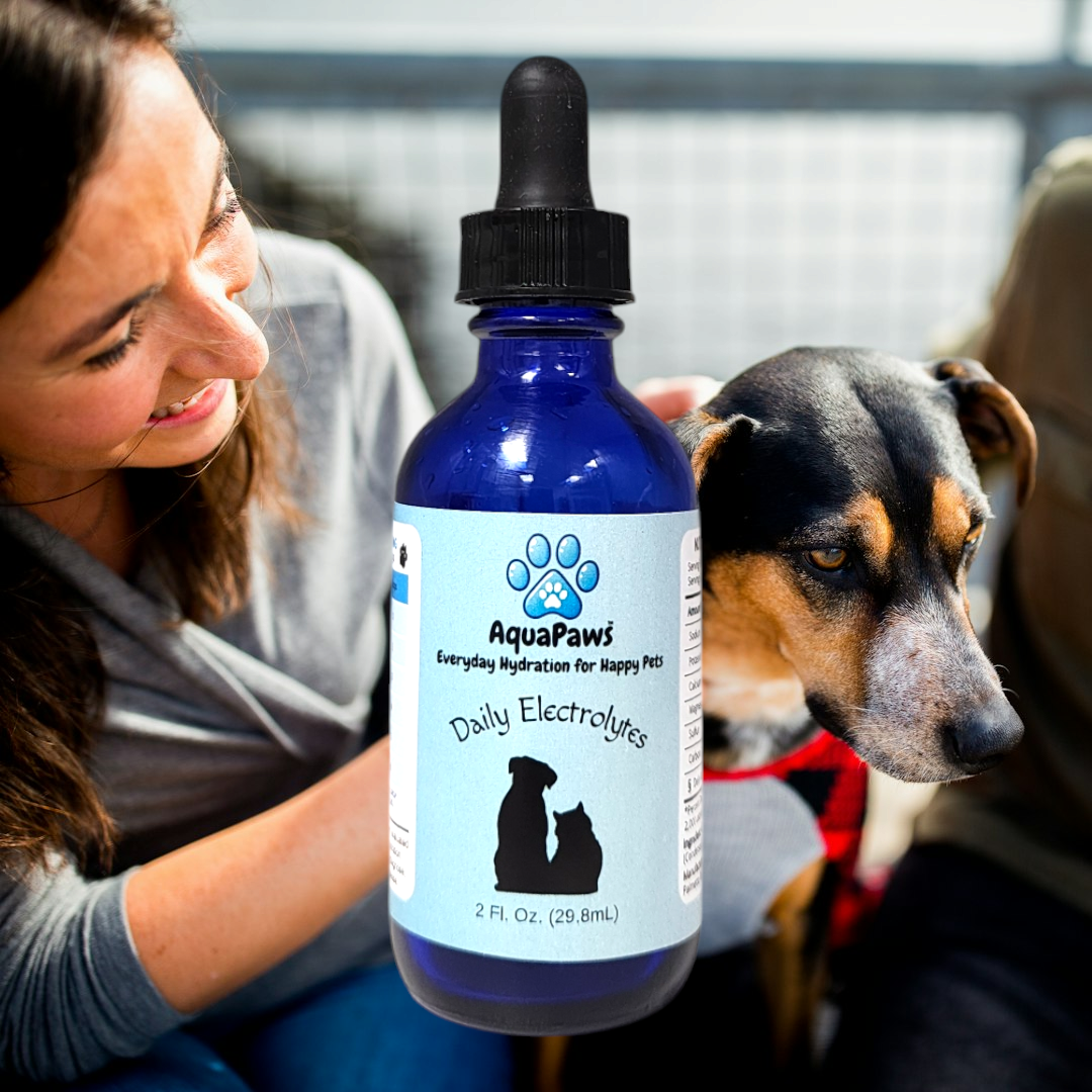 Pet Electrolytes for Daily Hydration